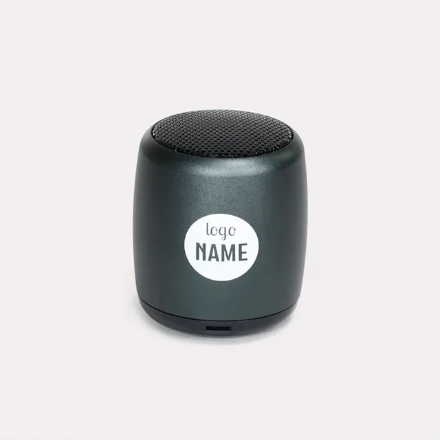Mini draadloze speakers