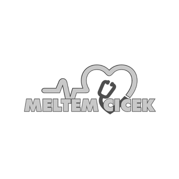 logos meltem cicek